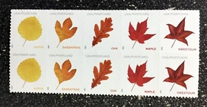 2025USA #5966-5970a Postcard Rate Vibrant Leaves - Mint Block of 10 From Sheet - Picture 1 of 1
