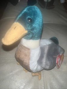 TY BEANIE BUDDY, 1998 - “Jake” - Picture 1 of 8