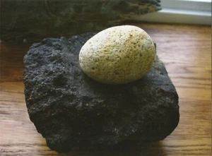 Postcard Alaska Unalaska Island Aleut Unangan Grinding Stone & Mortar MINT  - Picture 1 of 1