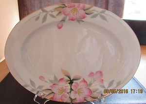 Noritake Azalea Hand Painted 11 3/4" Oval Serving Platter  - EUC! - Imagen 1 de 4