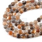 Multi Chocolate Moonstone Gemstone Round Shape Nugget 8 Mm Beads 8" Inch Strand