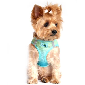 NEW Choke Free Dog Harness Ombre Collection - American River Aruba Blue  XXS-3XL - Picture 1 of 13