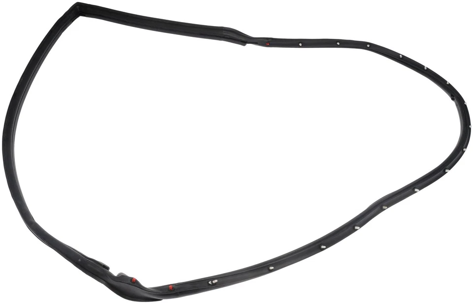 Sello de puerta del conductor Dorman 924-443 para Jeep Wrangler 97-06 Foto 1 de 1