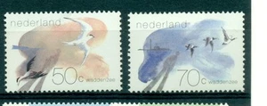 UCCELLI MARINI - SEA BIRDS NETHERLANDS 1982 - Picture 1 of 1