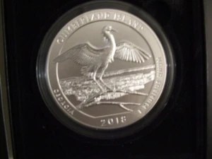 2018 America the Beautiful "Cumberland Island" 5 oz Silver 25 c denomination - Picture 1 of 4