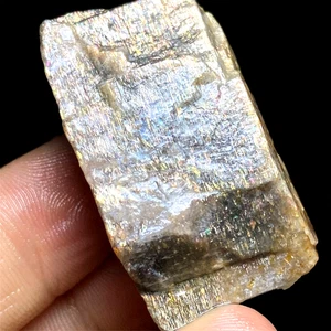 Piedra de iolita de grosella negra dorada natural cruda 24 g piedra de cordierita curación AA902 - Imagen 1 de 7