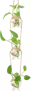 Wall Hanging Propagation Station,3 Tired Star Shaped Glass Flower Vase for,,,,, - Picture 1 of 12