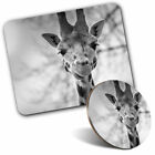 Mouse Mat And Coaster Set   Bw   Pretty Giraffe Wildlife Africa African 35102
