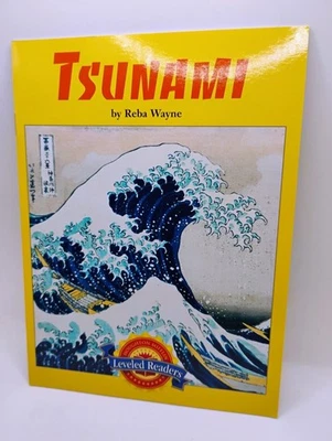 Tsunami By Reba Wayne, Houghton Mifflin, Leveled Readers, 2004, PB - Image 1 of 3