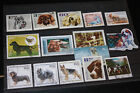 Pa 62 Briefmarken Rund Gestempelt Lot Hunde Alle Welt