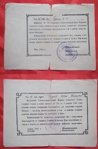 ORIGINAL Soviet gratitude x 2 documents, 306 & 324, Hungary 1945 WW2 RKKA - Imagen 1 de 2