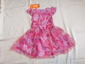 Gymboree Pink Dress Summer Roses Short Sleeve Ruffled 12 - 18 Months New NWT - Picture 1 of 12