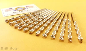 Drill Hog® 1/8x3 Masonry Drill Bit CARBIDE Tip Concrete 12 Pk Lifetime Warranty - Picture 1 of 5