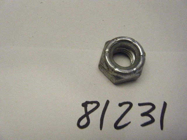 HOMELITE NEW XL-98A BLADE PULLEY NUT  PART NUMBER 81231 - Image 1 of 1