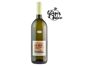 SLAVCEK Belle Vieille 2021 1L Vin Blanc Bio Slovénie