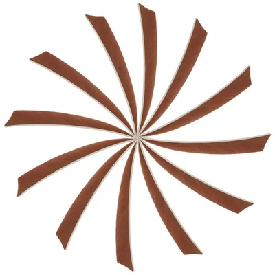 Flechas de tiro con arco de pavo con flechas de 5 pulgadas de pluma ala derecha, marrón 25 piezas Foto 1 de 4