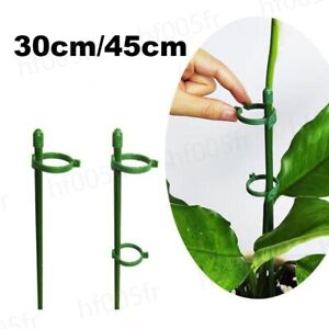 5pcs plant Flower Potted Support stand tomato Holder Stake Stander Fixing Tool