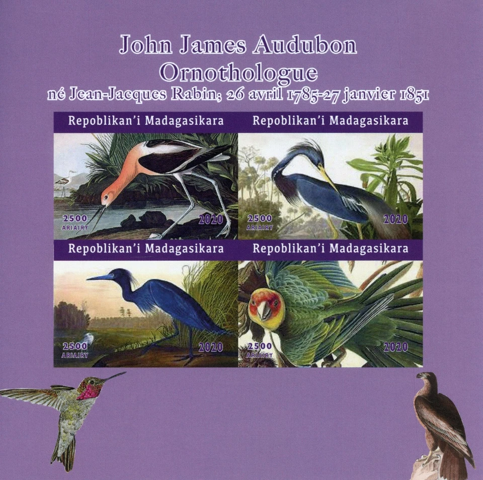 Madagascar Birds on Stamps 2020 MNH John James Audubon Art Parrots 4v IMPF M/S - Image 1 of 1