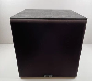 Subwoofer alimentado Pinnacle Digital Sub 100 10" con cubierta frontal, SIN PIES - Imagen 1 de 9