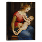 Raffaello Madonna di Orleans quadro stampa tela dipinto telaio arredo casa