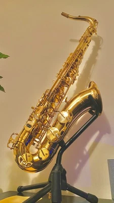 🎷 Eastar TS-Ⅱ Tenor Saxophone B Flat Gold Lacquer With Case Mouthpiece Reed - Image 1 of 4