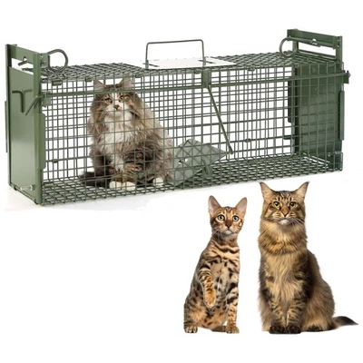 Durable 40-Inch 2-Door Animal Trap – Safe for Stray Cats, Raccoons & More - Image 1 of 4