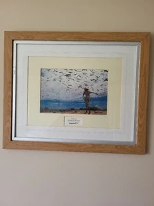 norman parkinson print Plonya Limited Edition 12 Of 30 - Picture 1 of 6