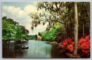 Middleton Gardens Charleston SC Rice Mill Pond Vintage Postcard - Picture 1 of 2