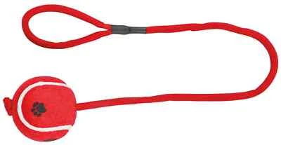 Hundespielzeug Tennisball am Tau Baumwolle hundgerecht - Bild 1 von 4