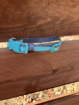 "Collar ajustable de nailon para perro Martha Stewart talla 14 se adapta al cuello 10""-14""" Foto 1 de 4