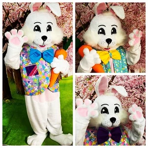 Bunny Rabbit Mascot Costume Brand New Deluxe Professional Quality USA Seller - Picture 1 of 10