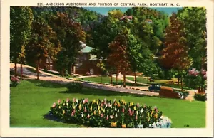 Vtg Linen Postcard Anderson Auditorium Central Park North Carolina Antique Autos - Picture 1 of 2