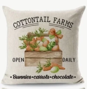 Bunny Carrot Garden Spring Easter Throw Pillow Cover Holiday Spring Home Decor - Picture 1 of 4