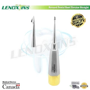 BERNARD DENTAL ELEVATORS STRAIGHT, German SS, Dental SURGICAL Instruments, CE - Picture 1 of 5
