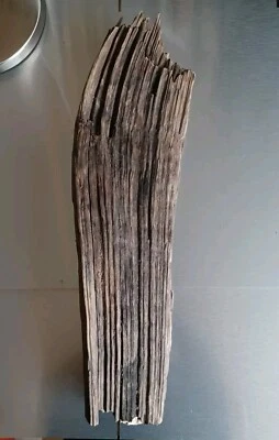 Treibholz Brett "Rillen" Schwemm Holz Dekoration Design Basteln  - Bild 1 von 4