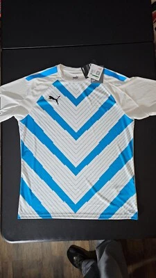 Мужская футболка Puma DryCell L Slim Team Liga графическая для дайвинга в белом океане - Изображение 1 из 4