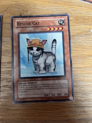 DR3-EN153 Rescue Cat Common UNL Edition NM  Yugioh Card - Image 1 of 4