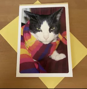 Funny Happy Birthday Cat With Scarf Hallmark Another Year Another Useless Gift” - Picture 1 of 4
