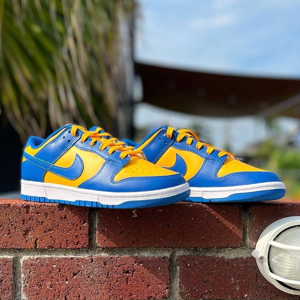 Preços baixos em Nike Dunk 6.0 Low Blue | eBay Preços baixos em Nike Dunk 6.0 Low Blue | eBay