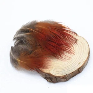 Rare Fire Red Fan Feathers 4cm - 8cm Rooster Fly Craft Hat Arts Costume Plume UK - Picture 1 of 1