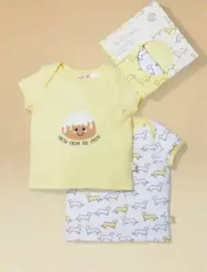 NEW IN BOX PETER ALEXANDER UNISEX ORGANIC COTTON BOXED T-SHIRTS 12 - 18 MTHS - Picture 1 of 2