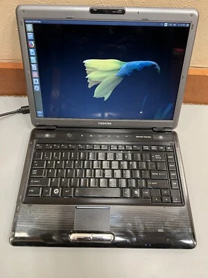 TOSHIBA SATELLITE M3050_S4831 AMD TURION X2 2GB RAM 160GB HDD WIFI harman/kardon - Image 1 of 4