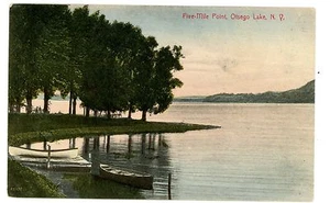 Otsego Lake NY - FIVE MILE POINT - Handcolored Postcard - Picture 1 of 1