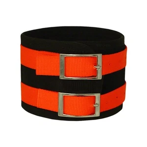 OmniPet OverKill Hog Dog Collar - Picture 1 of 1