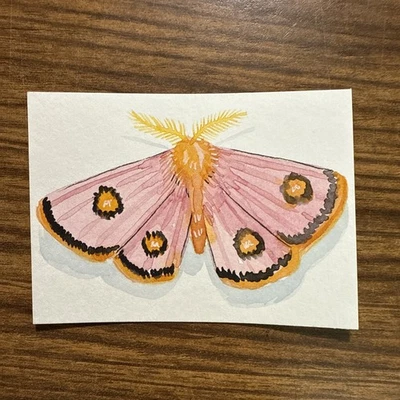 Roseate Emperor Moth 水彩画 Aceo OOAK 艺术家签名 — 第 1/3 张图片