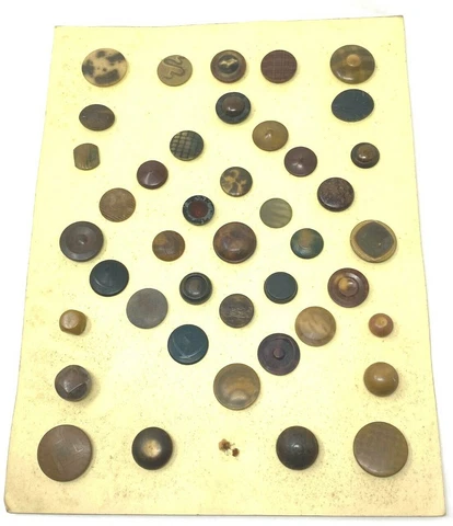 Collectors Card vegetable ivory buttons with different & surfaces patterns plaid Cover