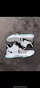 2021 Nike LeBron Witness 5 'Pure Platinum Light Dew' - Picture 1 of 7