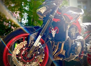 Schutzgitter Kawasaki Z900 - Bild 1 von 11