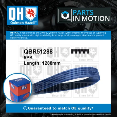 Correa de transmisión 5 Rib Multi V para MERCEDES A190 W168 1.9 99 a 04 M166.990 QH nueva Foto 1 de 4