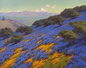 John Marshall Gamble Poppies And Lupine Santa Barbara Canvas Print 16 x 20 - Picture 1 of 4